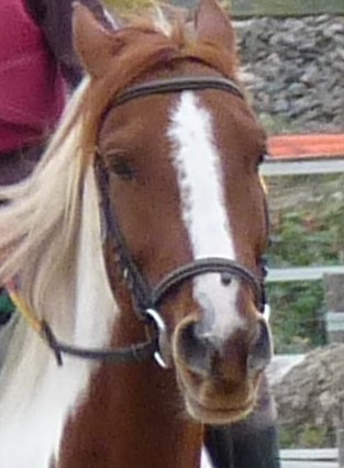 Photo de profil de mathildet