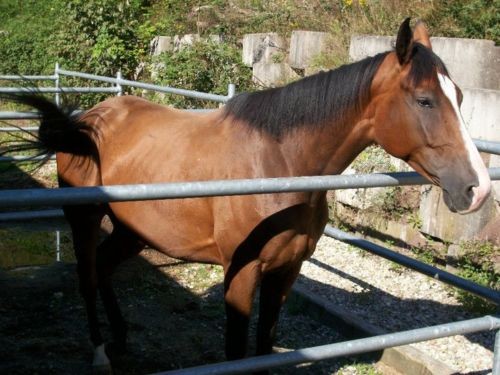 Photo de profil de mariejduval