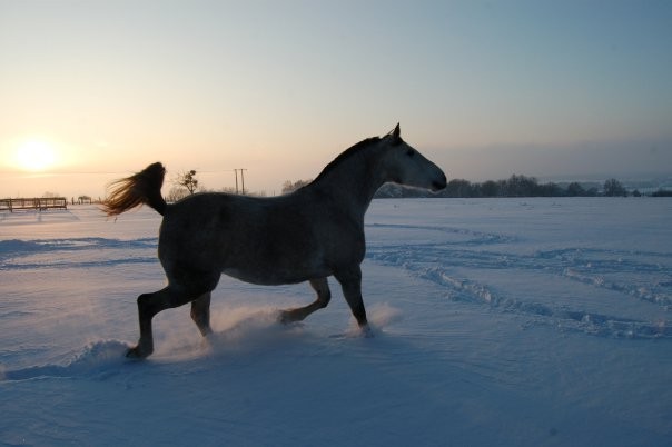 Photo de profil de nanadanjou