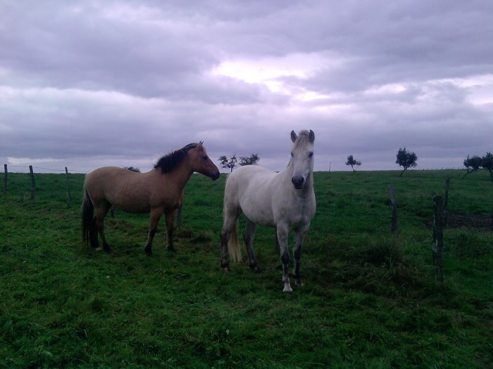 Photo de profil de auri1206