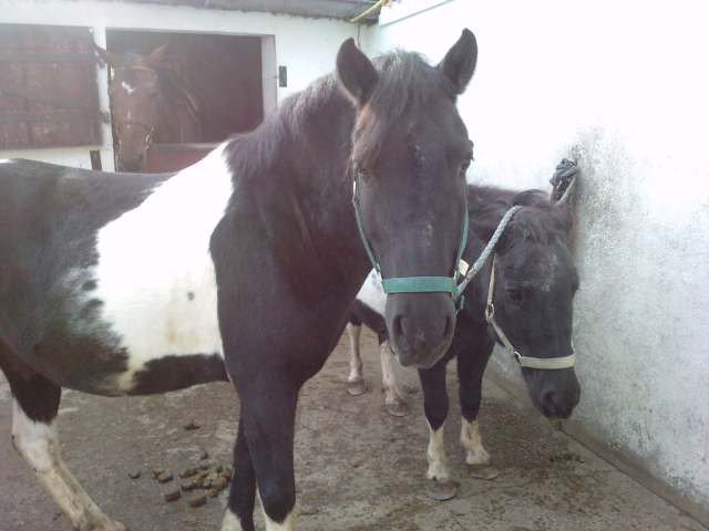 Photo de profil de tonerrejessy