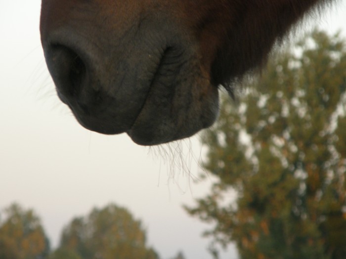 Photo de profil de cbournon