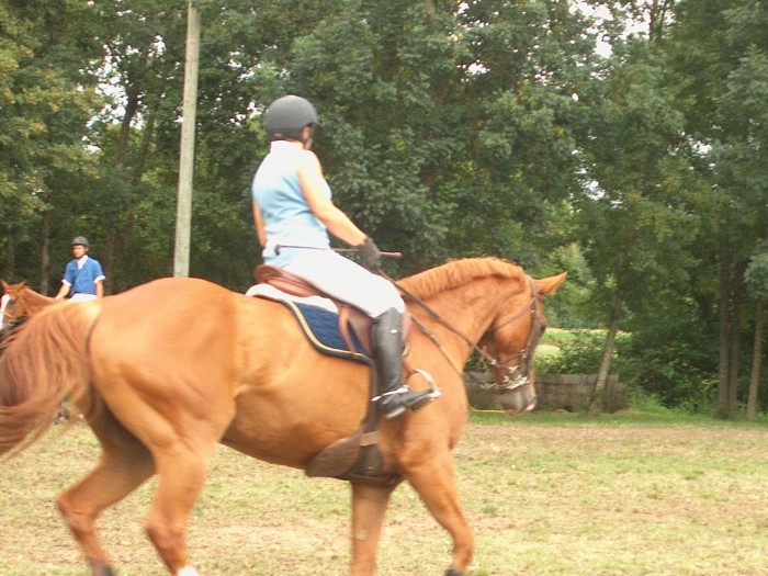 Photo de profil de celiadebos