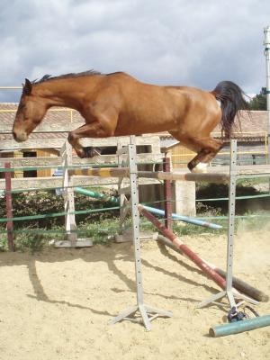 Photo de profil de c_equitation