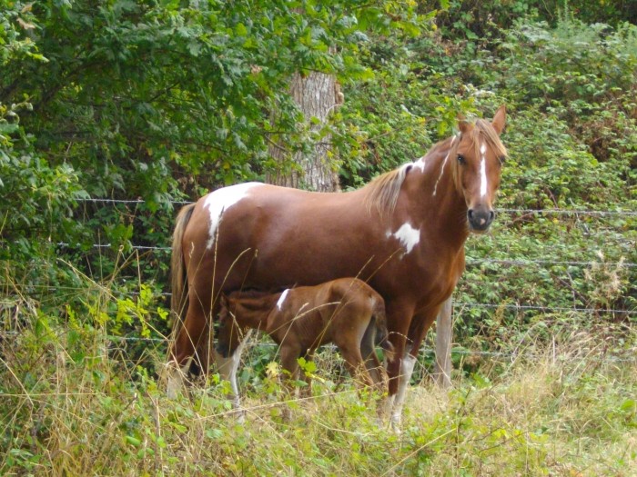 Photo de profil de didine44640