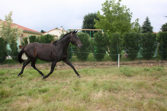 Photo de profil de manaoue