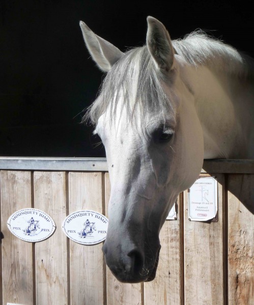 Photo de profil de manganese