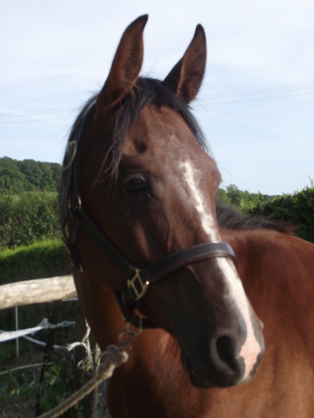 Photo de profil de valeriane02400