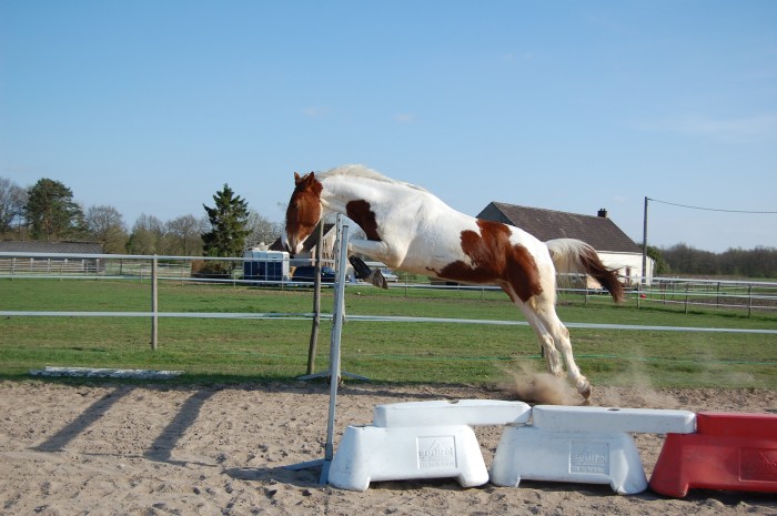 Photo de profil de minicrocs