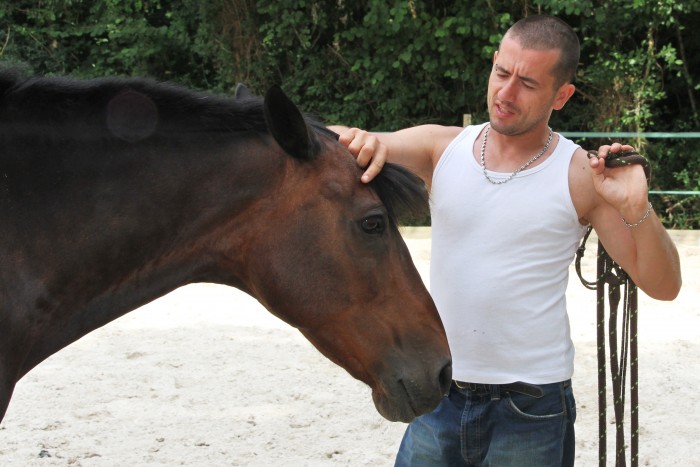 Photo de profil de violine