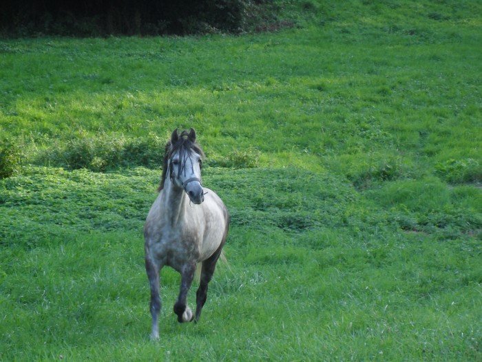 Photo de profil de nelnel