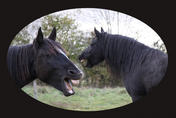 Photo de profil de gourmand