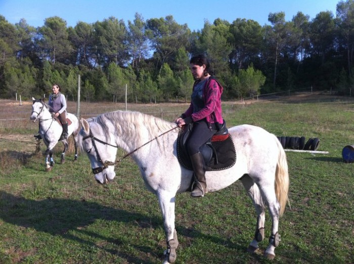 Photo de profil de kalash