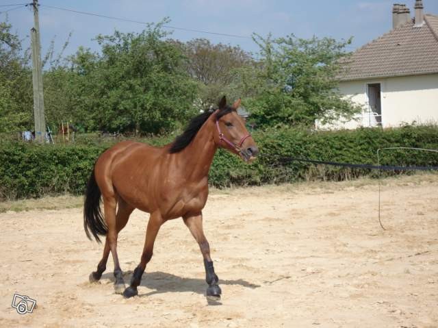 Photo de profil de missclerky