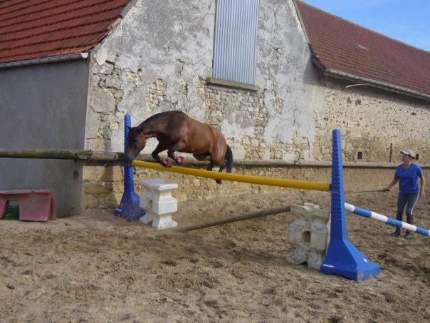 Photo de profil de audreyym