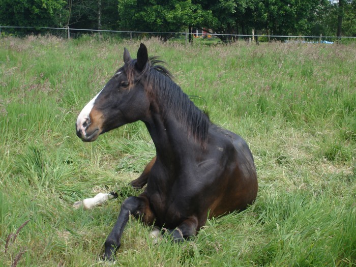 Photo de profil de raouldaddy