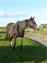 Photo de profil de ombrette