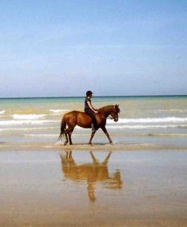 Photo de profil de myspauket