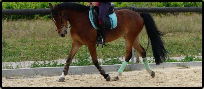 Photo de profil de naguir