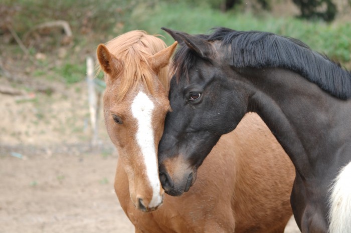 Photo de profil de quercy11