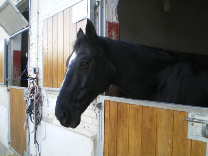 Photo de profil de titesoso