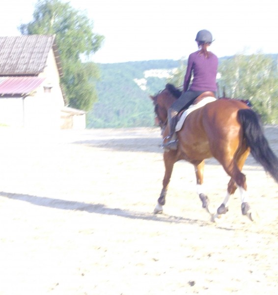 Photo de profil de mel25