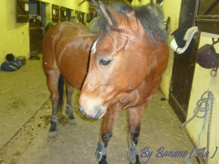 Photo de profil de leomonange