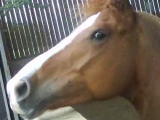 Photo de profil de janouille