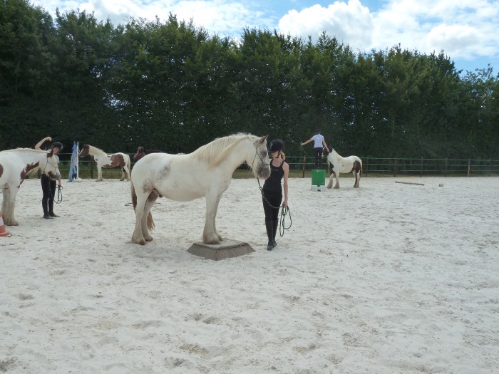 Photo de profil de dodiex