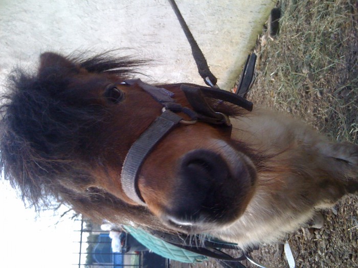 Photo de profil de mlicorn21
