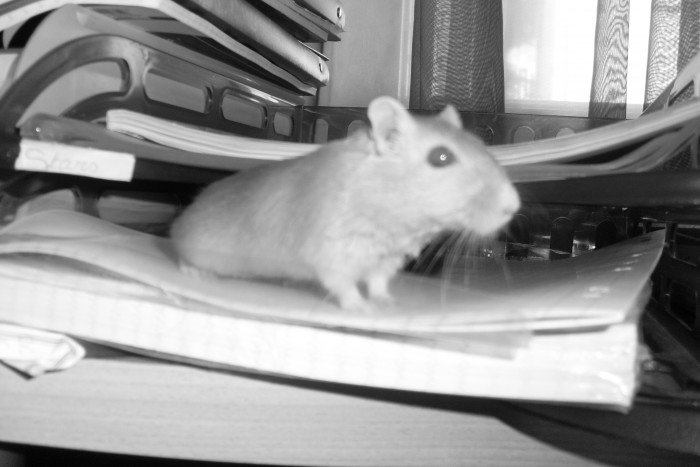Photo de profil de marianne123
