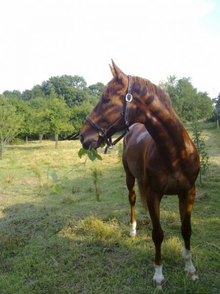 Photo de profil de justiine57