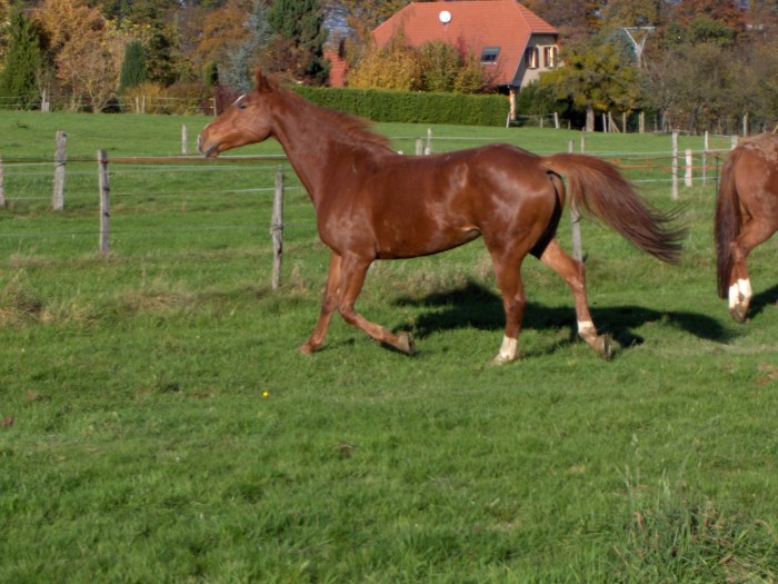 Photo de profil de jaila