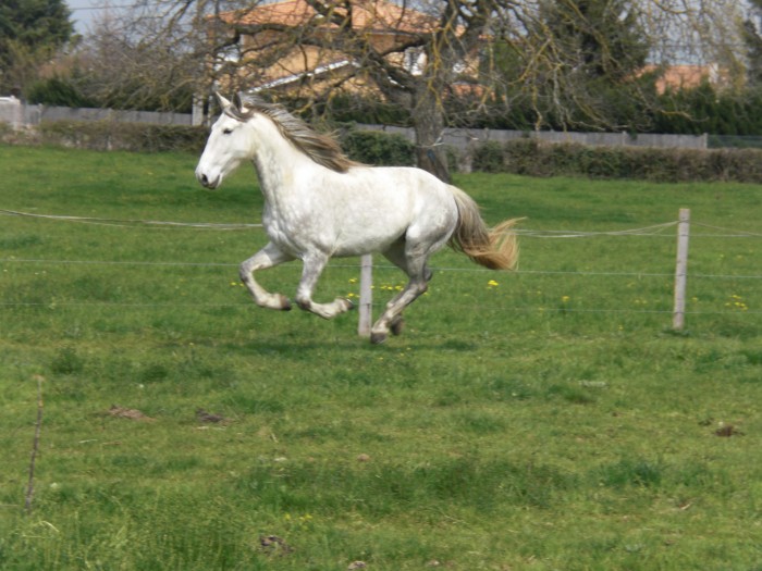 Photo de profil de sowsow38