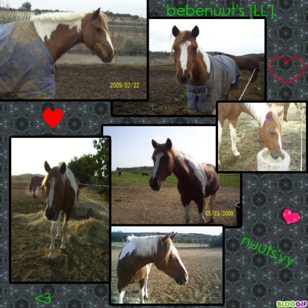 Photo de profil de claiire34