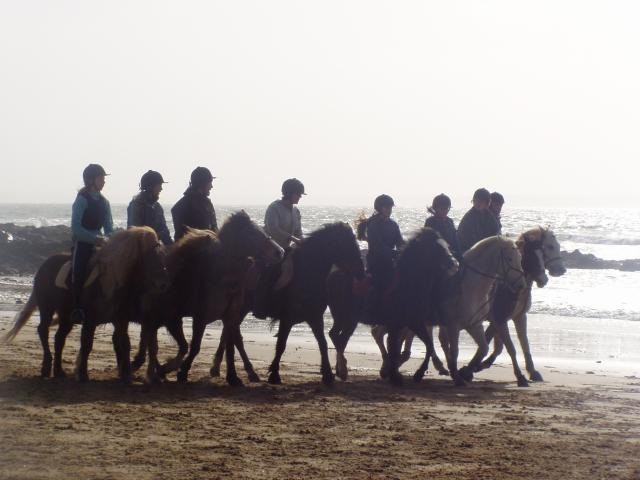 Photo de profil de loulou29