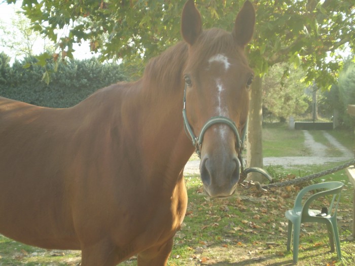 Photo de profil de tile84