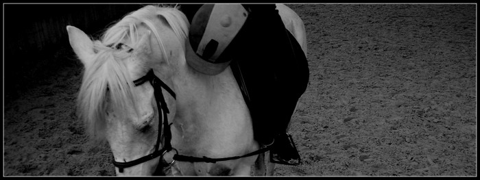 Photo de profil de ponaillon