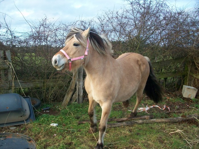 Photo de profil de admira