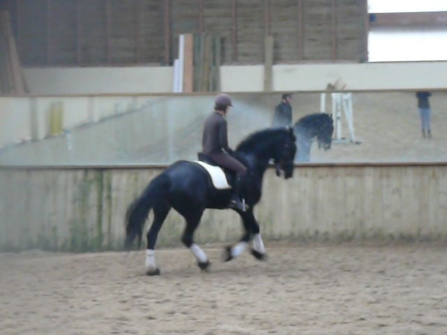 Photo de profil de polarstate