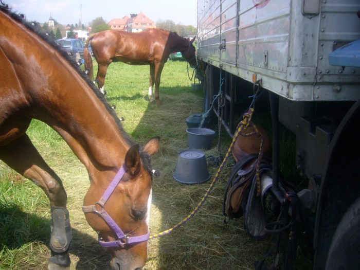 Photo de profil de modee