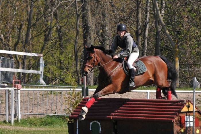 Photo de profil de elo333