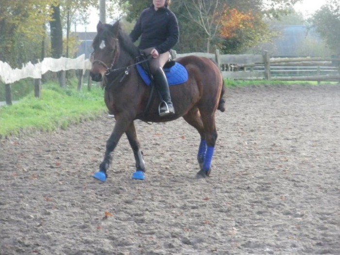 Photo de profil de morgaaaaane