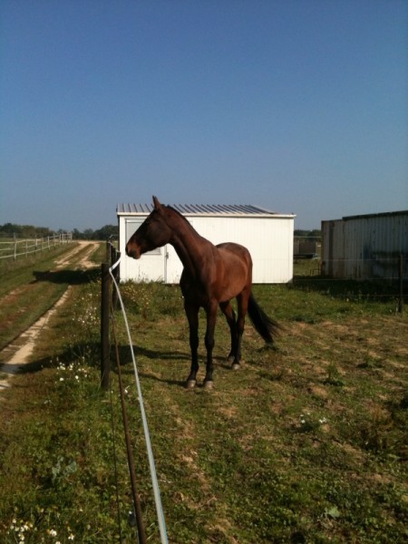 Photo de profil de alohaaa