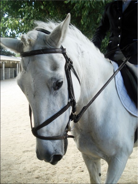 Photo de profil de kate6