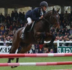 Photo de profil de ylovechevaux