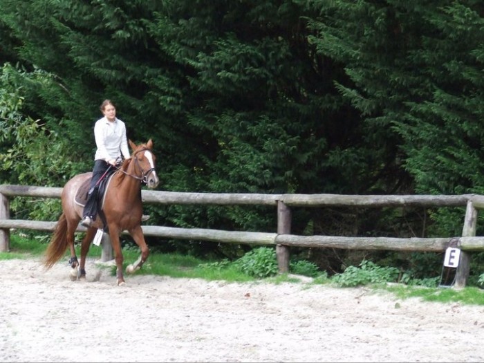 Photo de profil de sistaelise