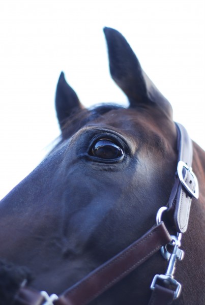 Photo de profil de fra75