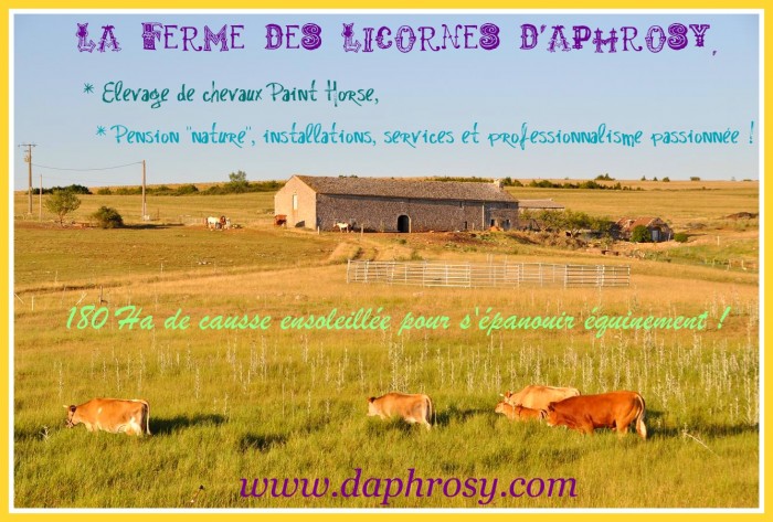 Photo de profil de daphrosy