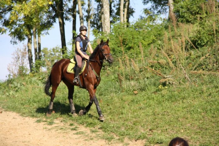 Photo de profil de qixiadustecha